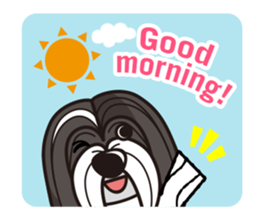 iinu - Havanese sticker #11384836