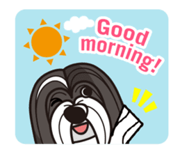 iinu - Havanese sticker #11384836