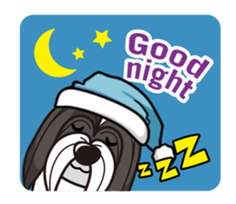 iinu - Havanese sticker #11384838