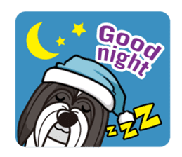 iinu - Havanese sticker #11384838