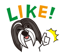 iinu - Havanese sticker #11384840