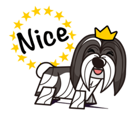 iinu - Havanese sticker #11384846