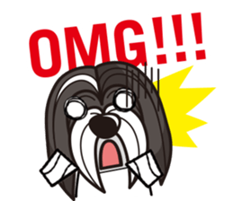 iinu - Havanese sticker #11384854