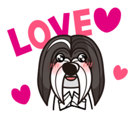 iinu - Havanese sticker #11384856