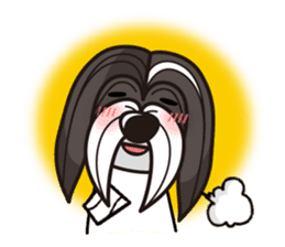 iinu - Havanese sticker #11384862