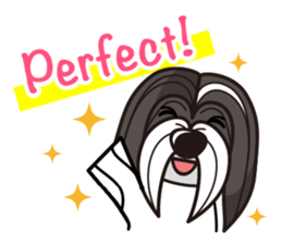 iinu - Havanese sticker #11384866