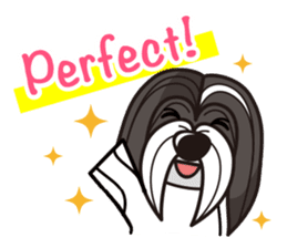 iinu - Havanese sticker #11384866