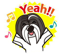 iinu - Havanese sticker #11384868