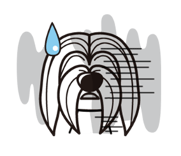 iinu - Havanese sticker #11384870