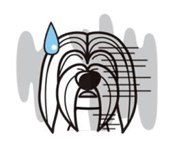 iinu - Havanese sticker #11384870