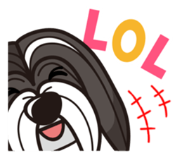 iinu - Havanese sticker #11384876