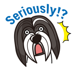 iinu - Havanese sticker #11384878