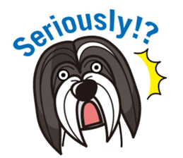iinu - Havanese sticker #11384878