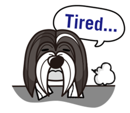 iinu - Havanese sticker #11384882