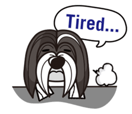 iinu - Havanese sticker #11384882
