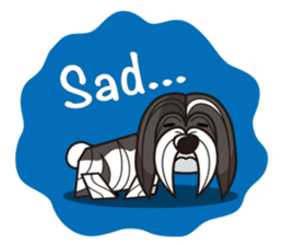 iinu - Havanese sticker #11384885