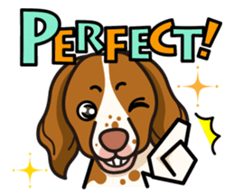 iinu - Britany Spaniel sticker #11384825