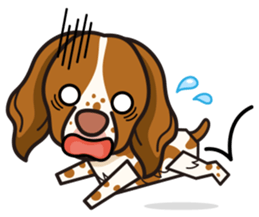 iinu - Britany Spaniel sticker #11384827