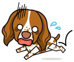 iinu - Britany Spaniel sticker #11384827