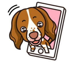 iinu - Britany Spaniel sticker #11384829