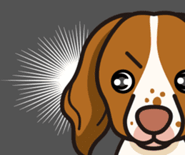 iinu - Britany Spaniel sticker #11384833