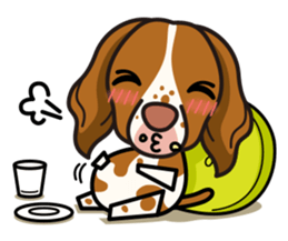 iinu - Britany Spaniel sticker #11384843