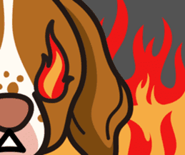 iinu - Britany Spaniel sticker #11384847