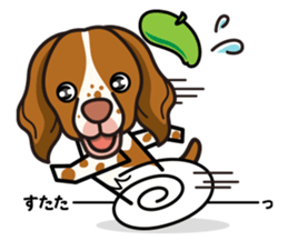 iinu - Britany Spaniel sticker #11384851