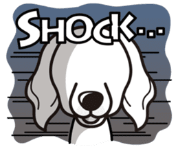 iinu - Britany Spaniel sticker #11384853