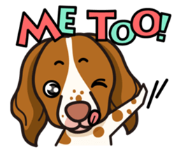 iinu - Britany Spaniel sticker #11384857