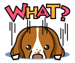 iinu - Britany Spaniel sticker #11384869