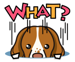 iinu - Britany Spaniel sticker #11384869