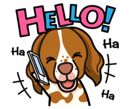 iinu - Britany Spaniel sticker #11384875