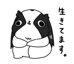 Japanese chin Mochio vol.3 sticker #11387106