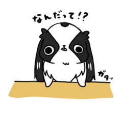 Japanese chin Mochio vol.3 sticker #11387116