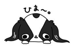 Japanese chin Mochio vol.3 sticker #11387121