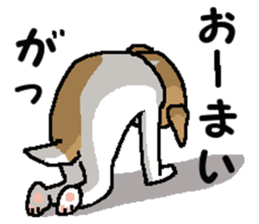 Jack dog 4 sticker #11390185