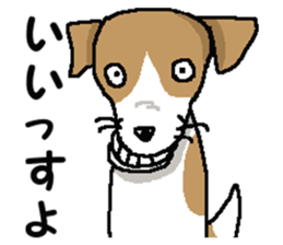 Jack dog 4 sticker #11390188