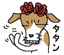 Jack dog 4 sticker #11390204