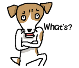 Jack dog 4 sticker #11390205