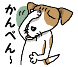 Jack dog 4 sticker #11390214