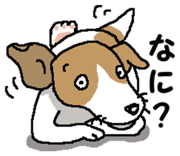 Jack dog 4 sticker #11390215