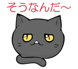 I answer from Mr. black cat. sticker #11391424