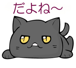 I answer from Mr. black cat. sticker #11391425