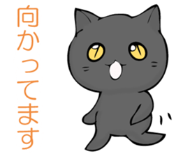 I answer from Mr. black cat. sticker #11391429
