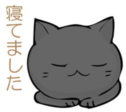 I answer from Mr. black cat. sticker #11391437