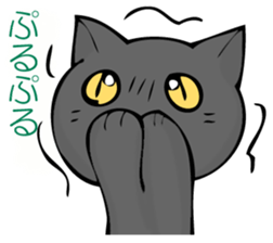 I answer from Mr. black cat. sticker #11391443