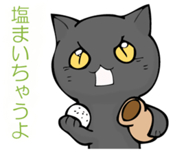 I answer from Mr. black cat. sticker #11391444