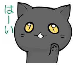 I answer from Mr. black cat. sticker #11391445