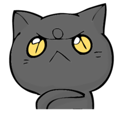 I answer from Mr. black cat. sticker #11391451